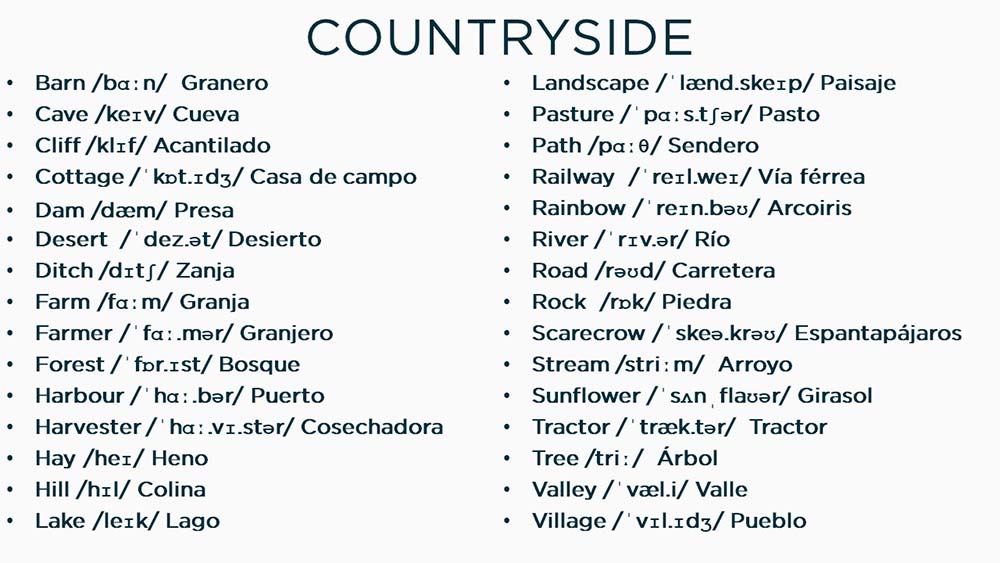 Vocabulario CAMPO Phiteca