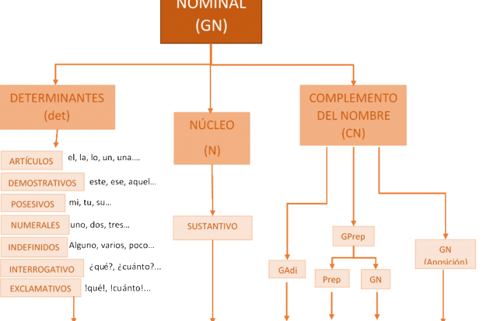 Análisis morfológico sintagma nominal