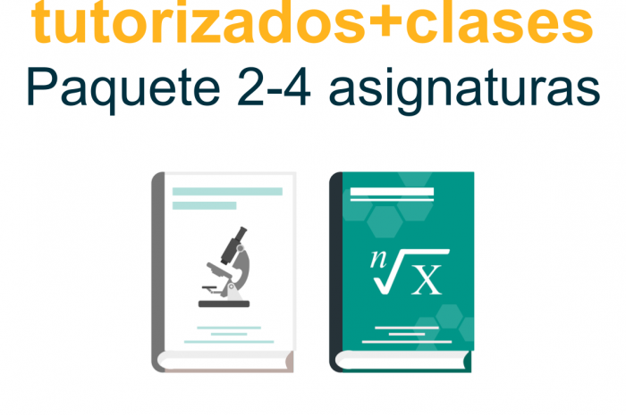 Curso tutorizado y clases 2-4 asignaturas
