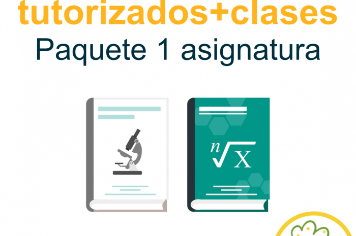 Curso TLT tutorizado y clases 1 asignatura